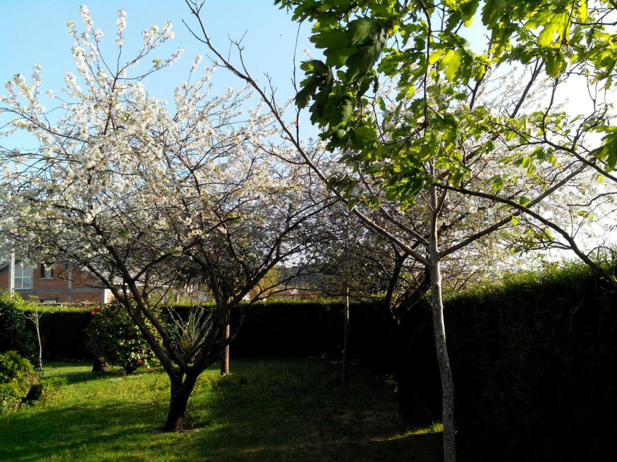 Mi Cabana Villa Ribadumia Exteriör bild