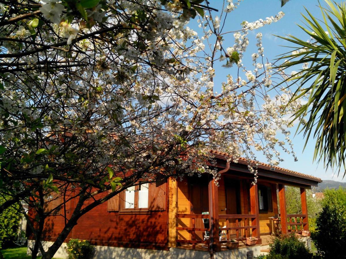 Mi Cabana Villa Ribadumia Exteriör bild